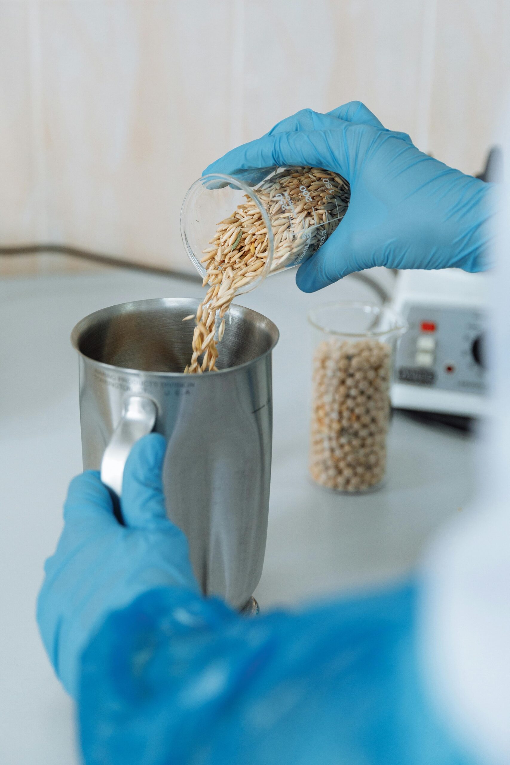 Micotoxinas: O Perigo Oculto em Nossa Alimentação